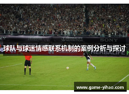 球队与球迷情感联系机制的案例分析与探讨