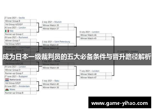 成为日本一级裁判员的五大必备条件与晋升路径解析